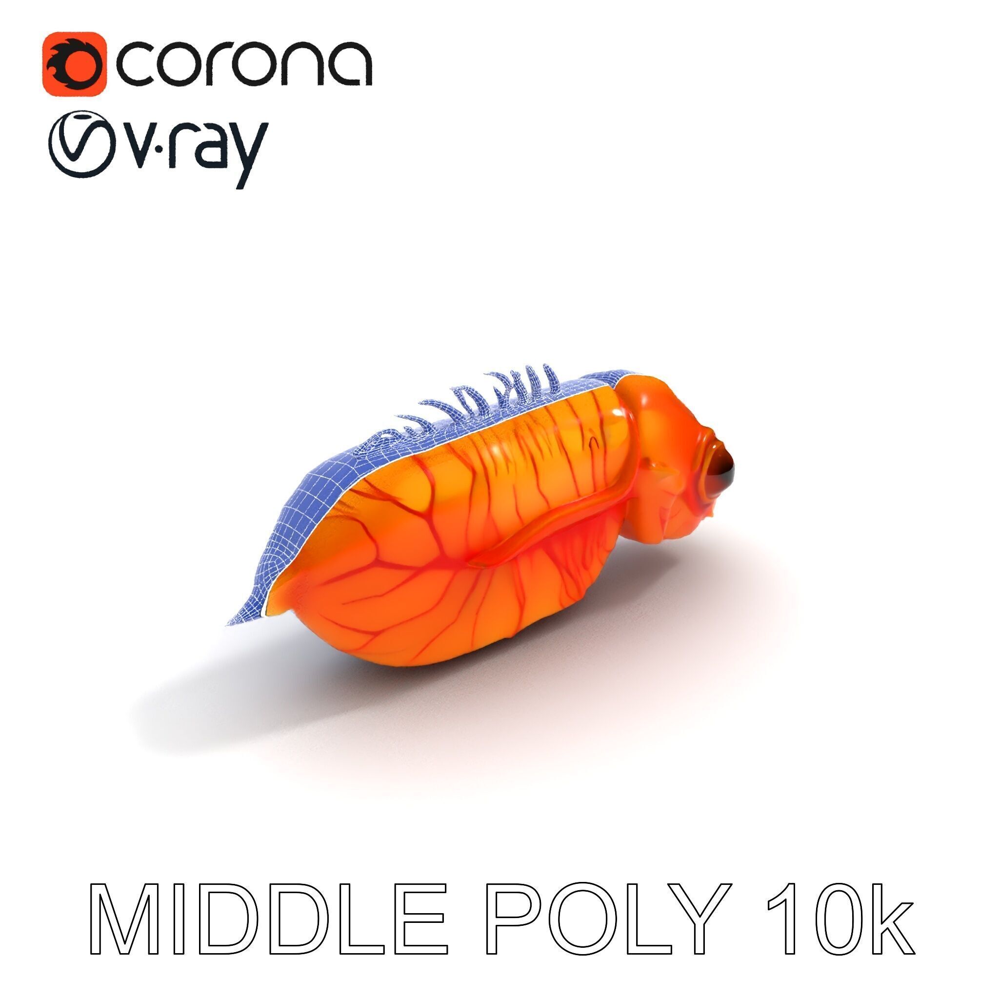 Futuristic Aquatic Creature Model Pack Low-poly 3D model_18