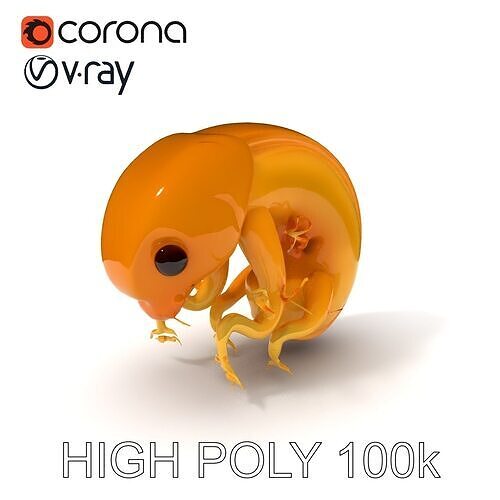 Embryo Model Pack for Scientific Visualization Low-poly 3D model