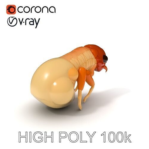 Insect Larva Model Pack with PBR Textures for Various Applica... Low-poly 3D model