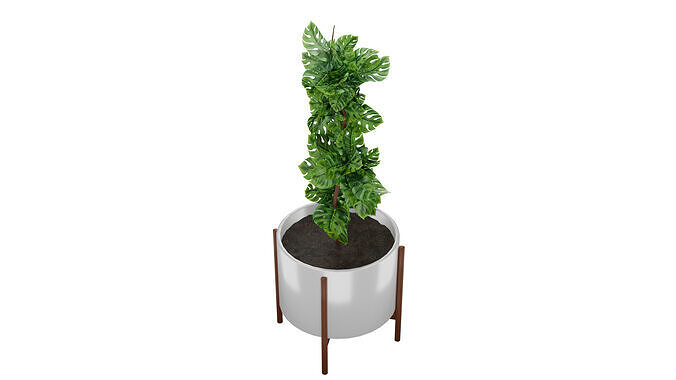 Potted Indoor Plant 3D Model 3D model