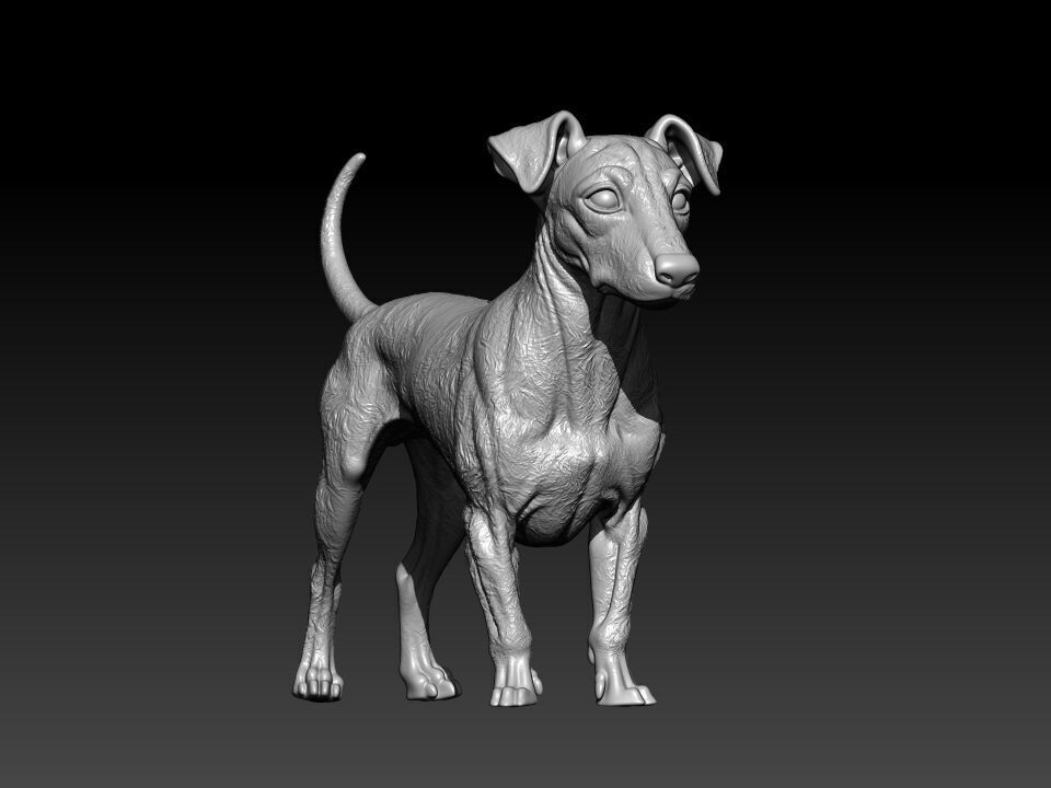 Manchester terrier Dog model - 3D print 3D print model_1