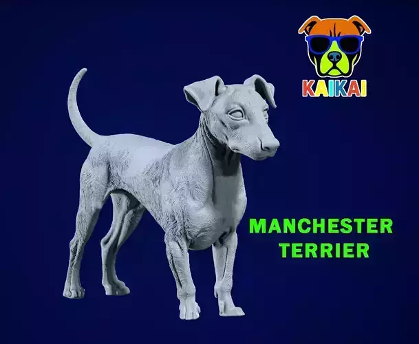 Manchester terrier Dog model - 3D print 3D print model Manchester terrier Dog model - 3D print 3D print model