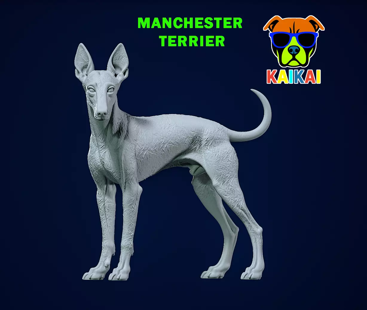 Manchester Terrier Dog model - 3D print 3D print model_0