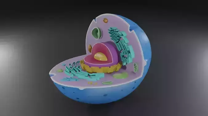 Realistic Animale cell 3D
