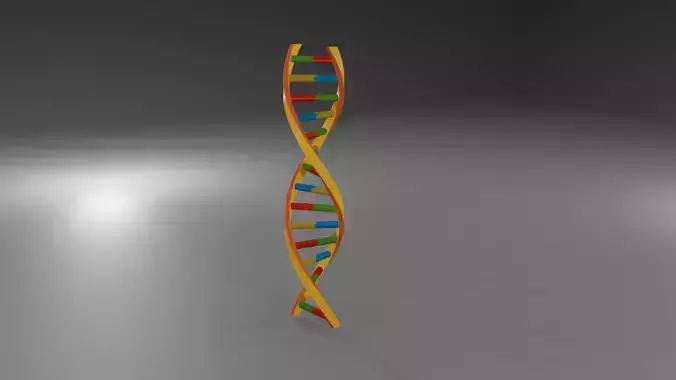 DNA Strand Genetics 3D model Low-poly 3D model