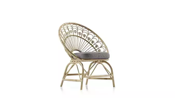Bali pari Abriella Rattan Boho Peacock Chair 3D model