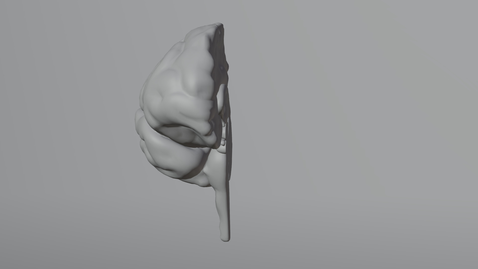 Human Brain Low-poly 3D model_26
