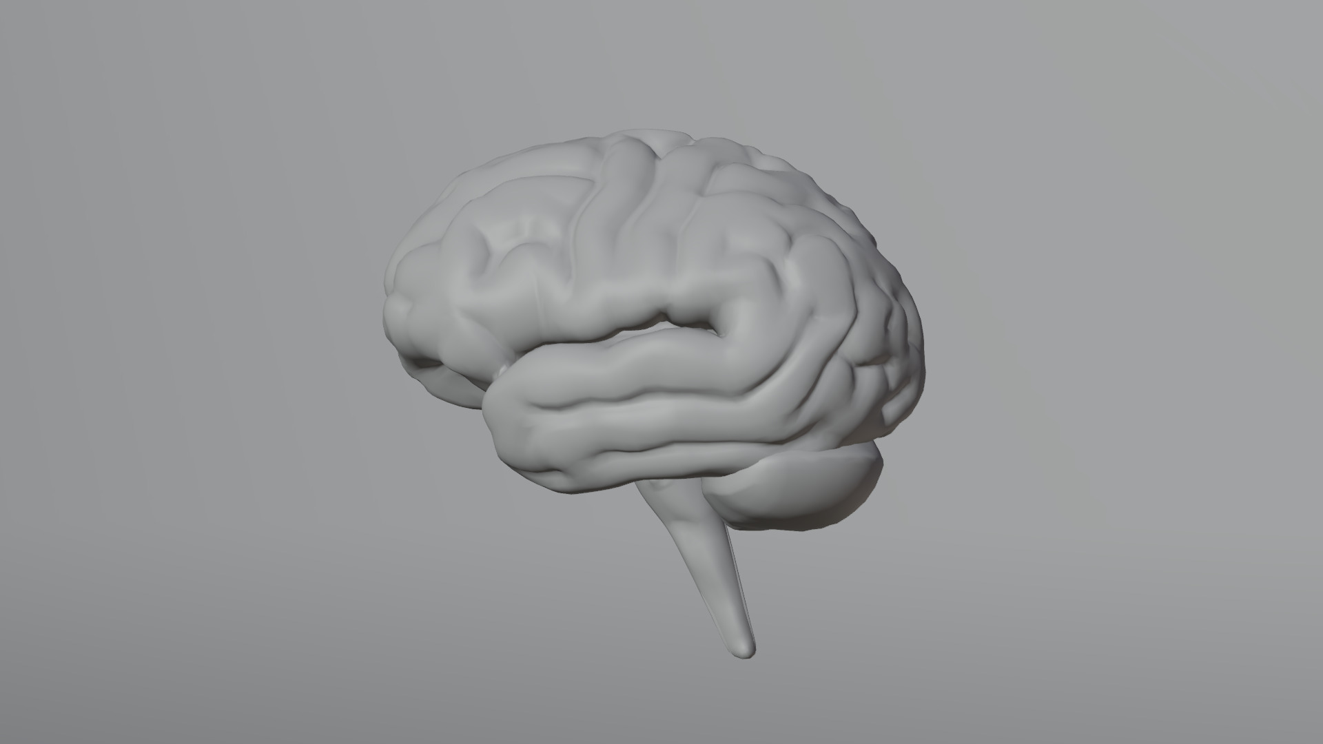 Human Brain Low-poly 3D model_33