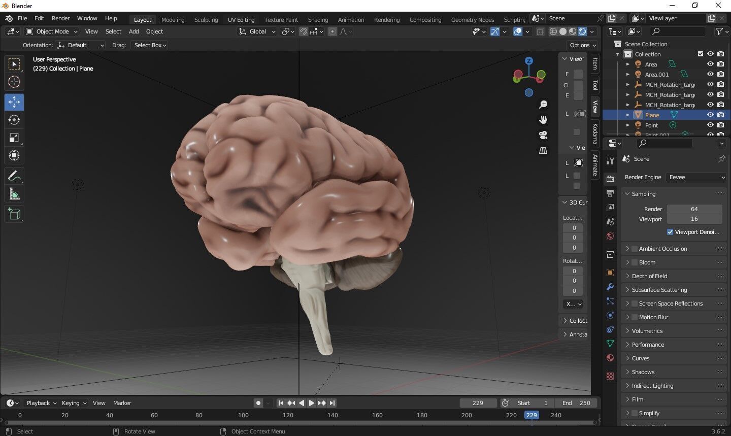 Human Brain Low-poly 3D model_13