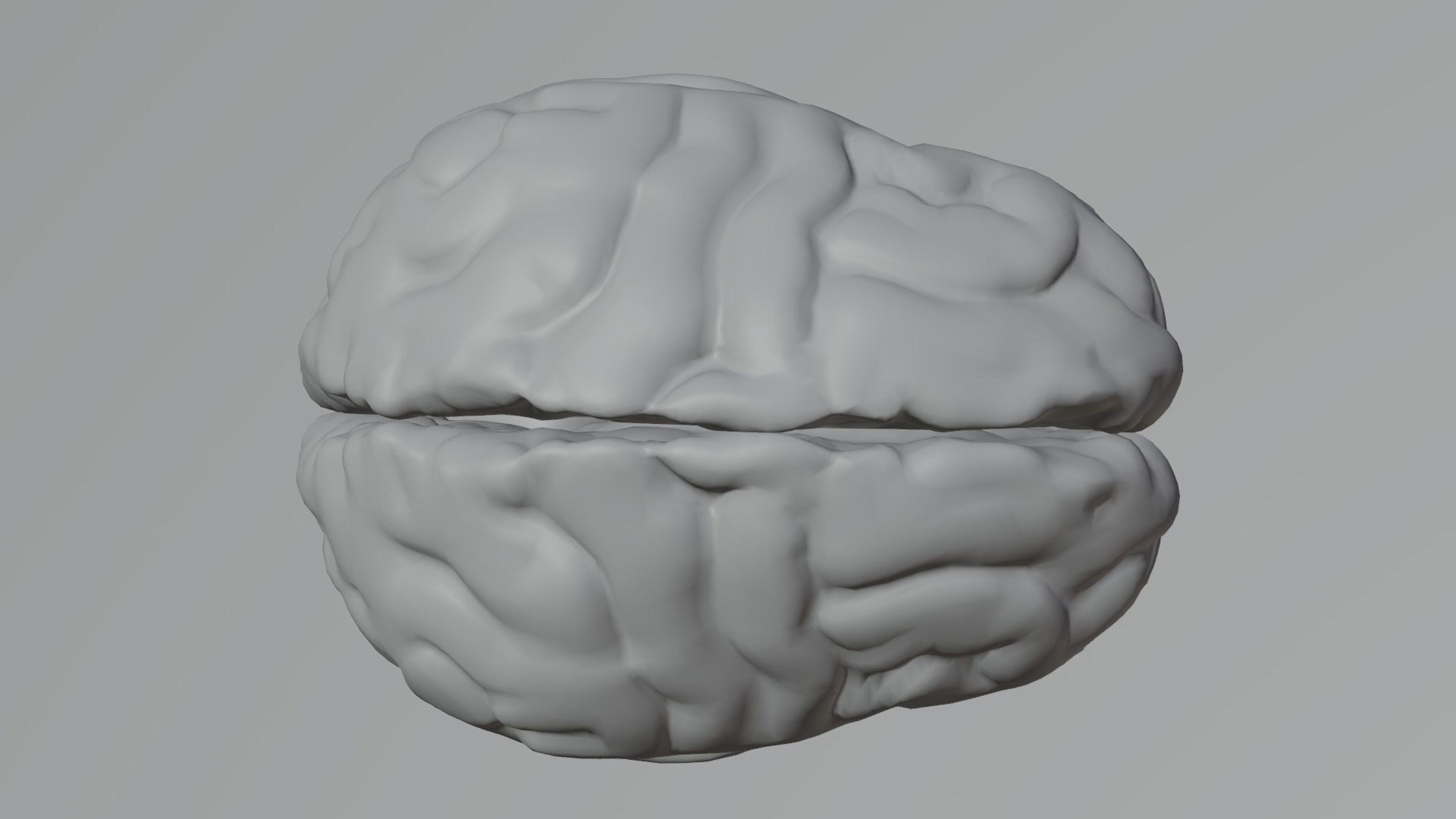 Human Brain Low-poly 3D model_38