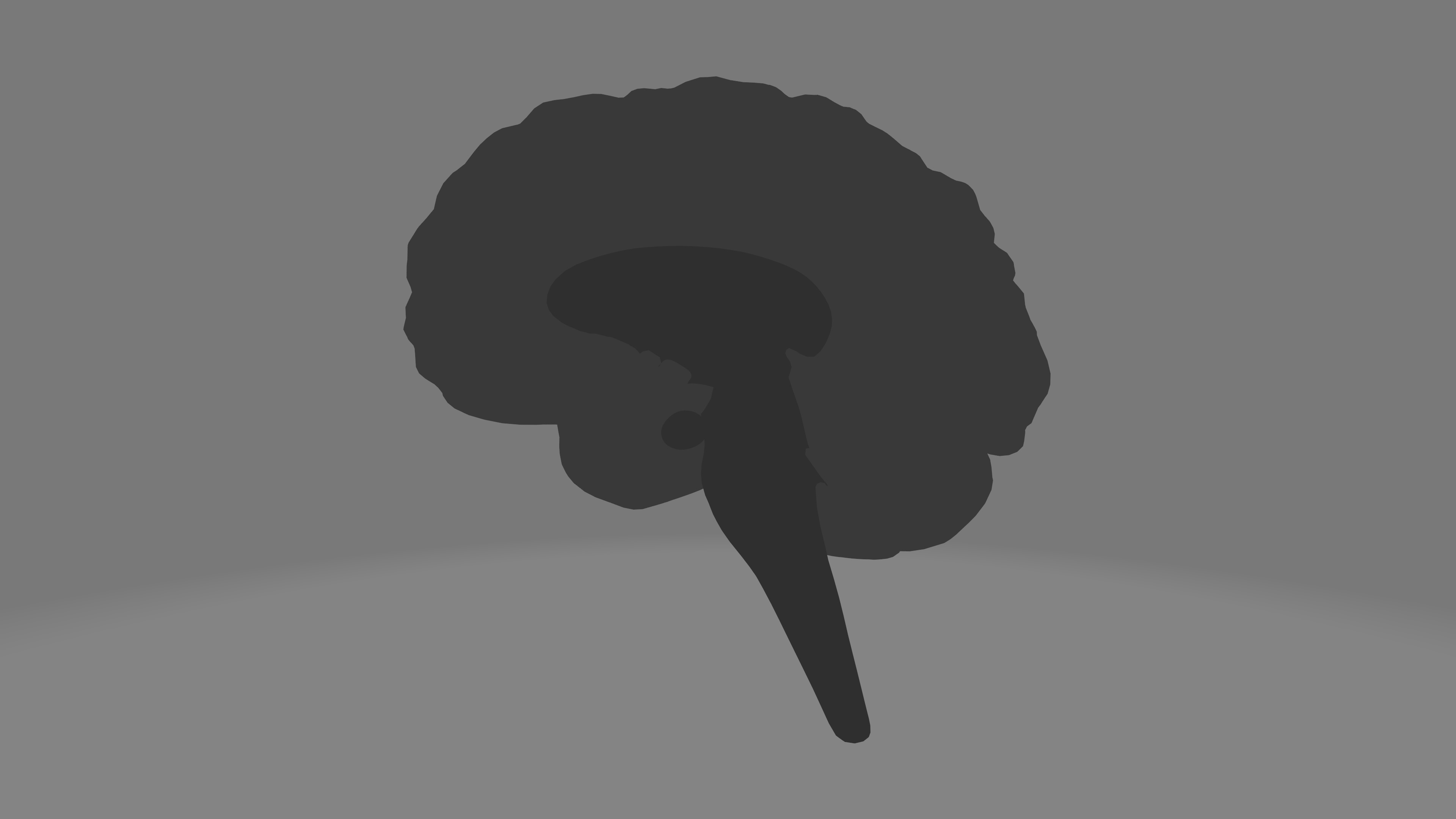 Human Brain Low-poly 3D model_11
