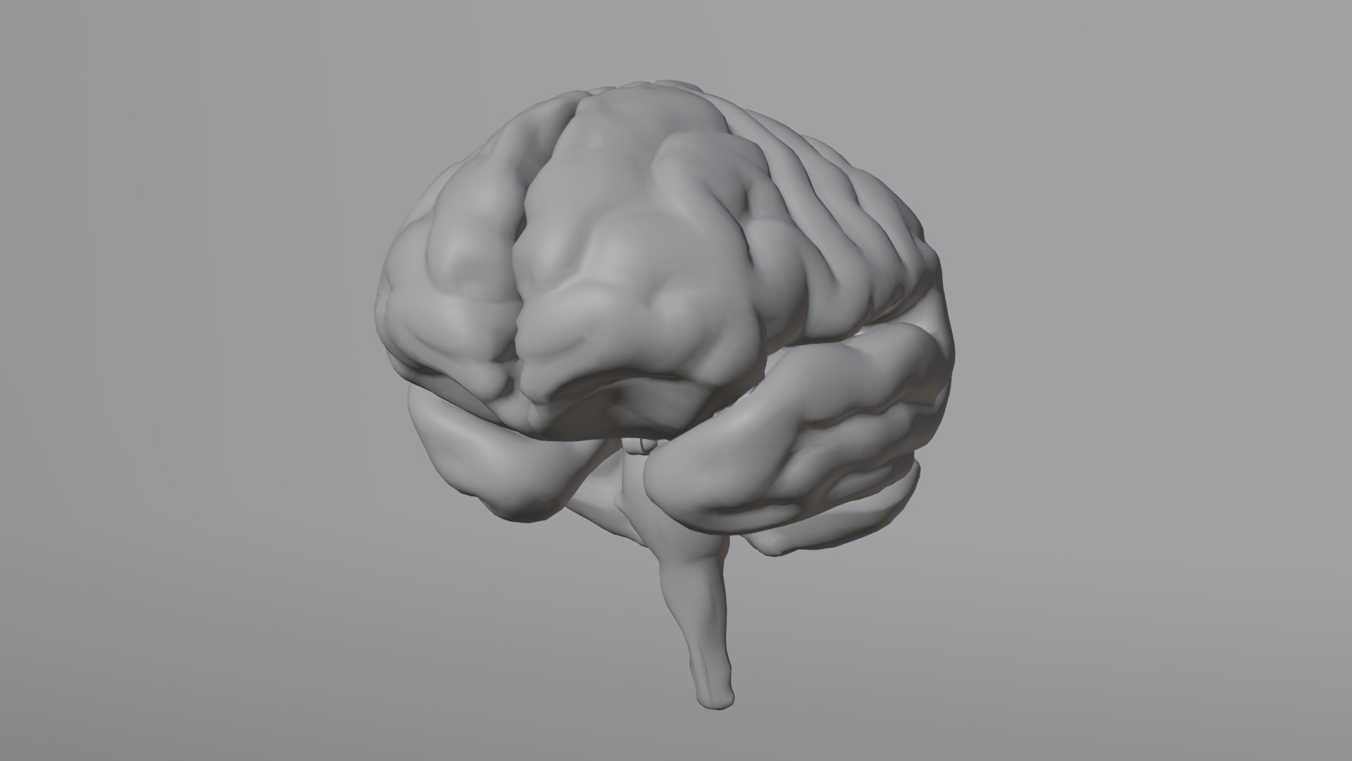 Human Brain Low-poly 3D model_40