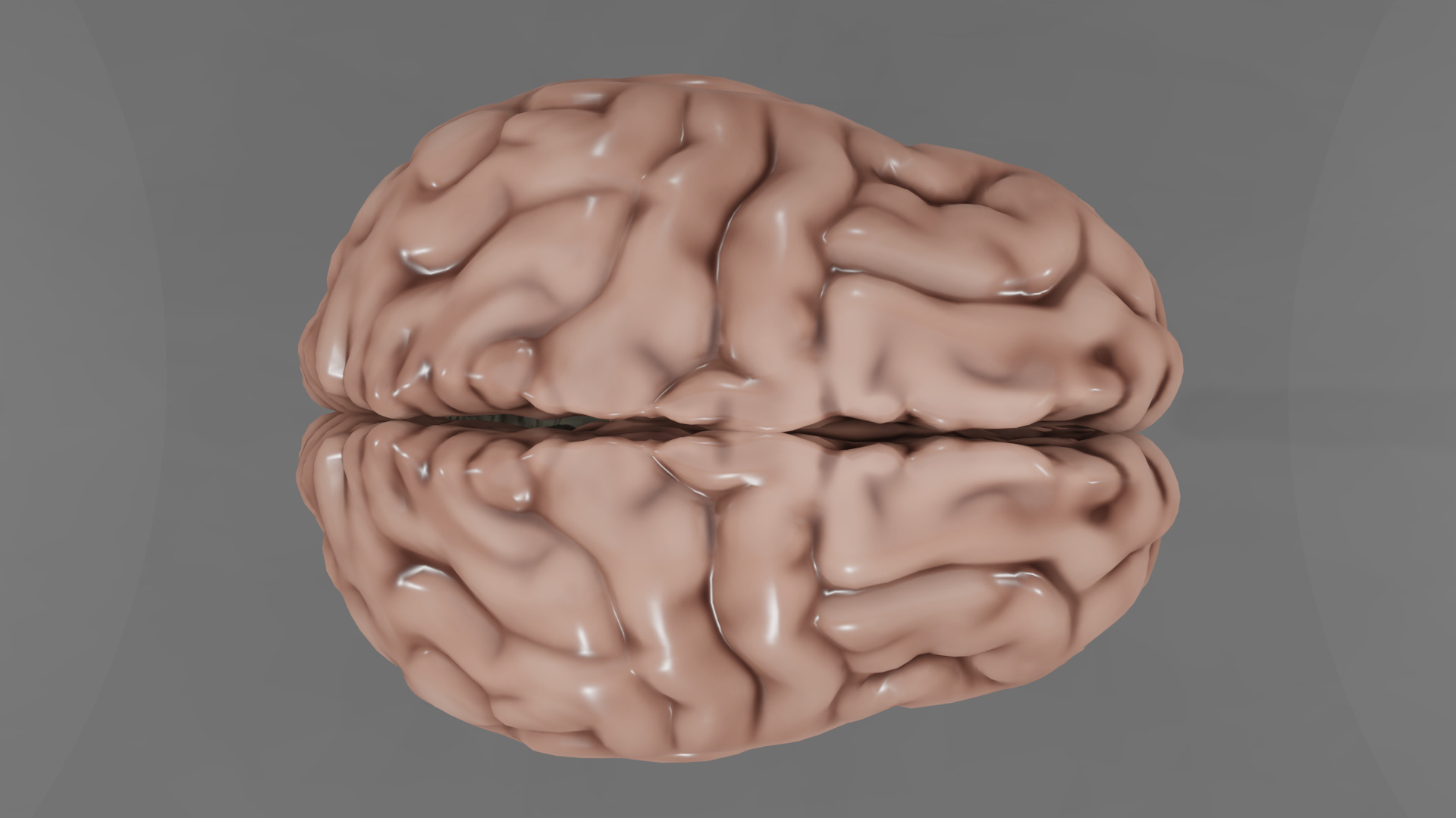 Human Brain Low-poly 3D model_4