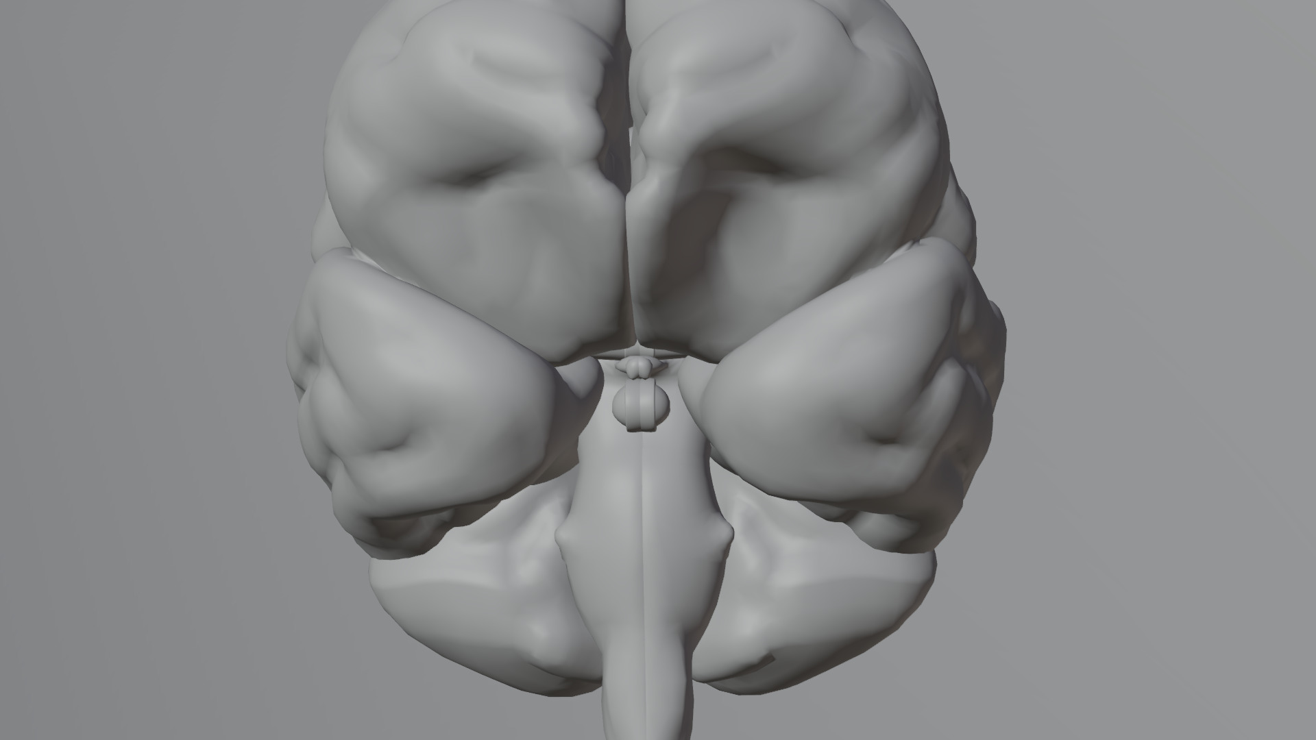 Human Brain Low-poly 3D model_36