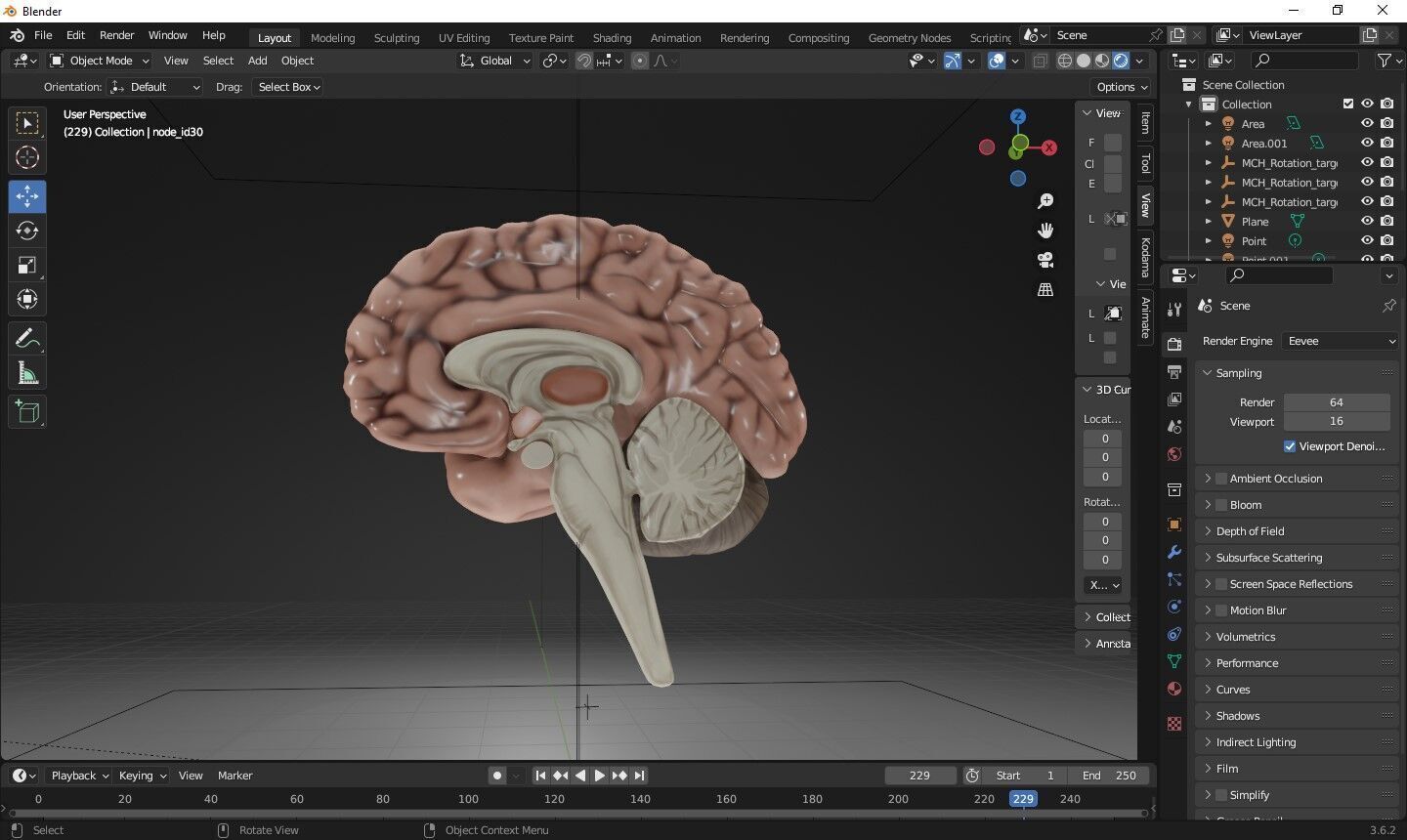 Human Brain Low-poly 3D model_14
