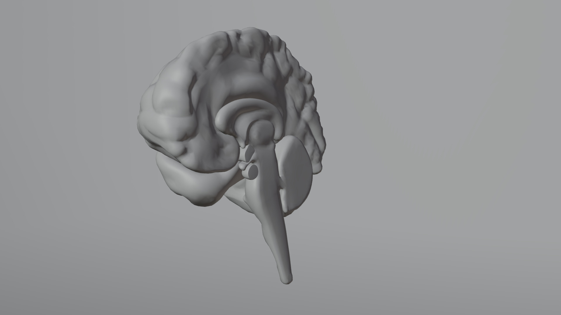 Human Brain Low-poly 3D model_27