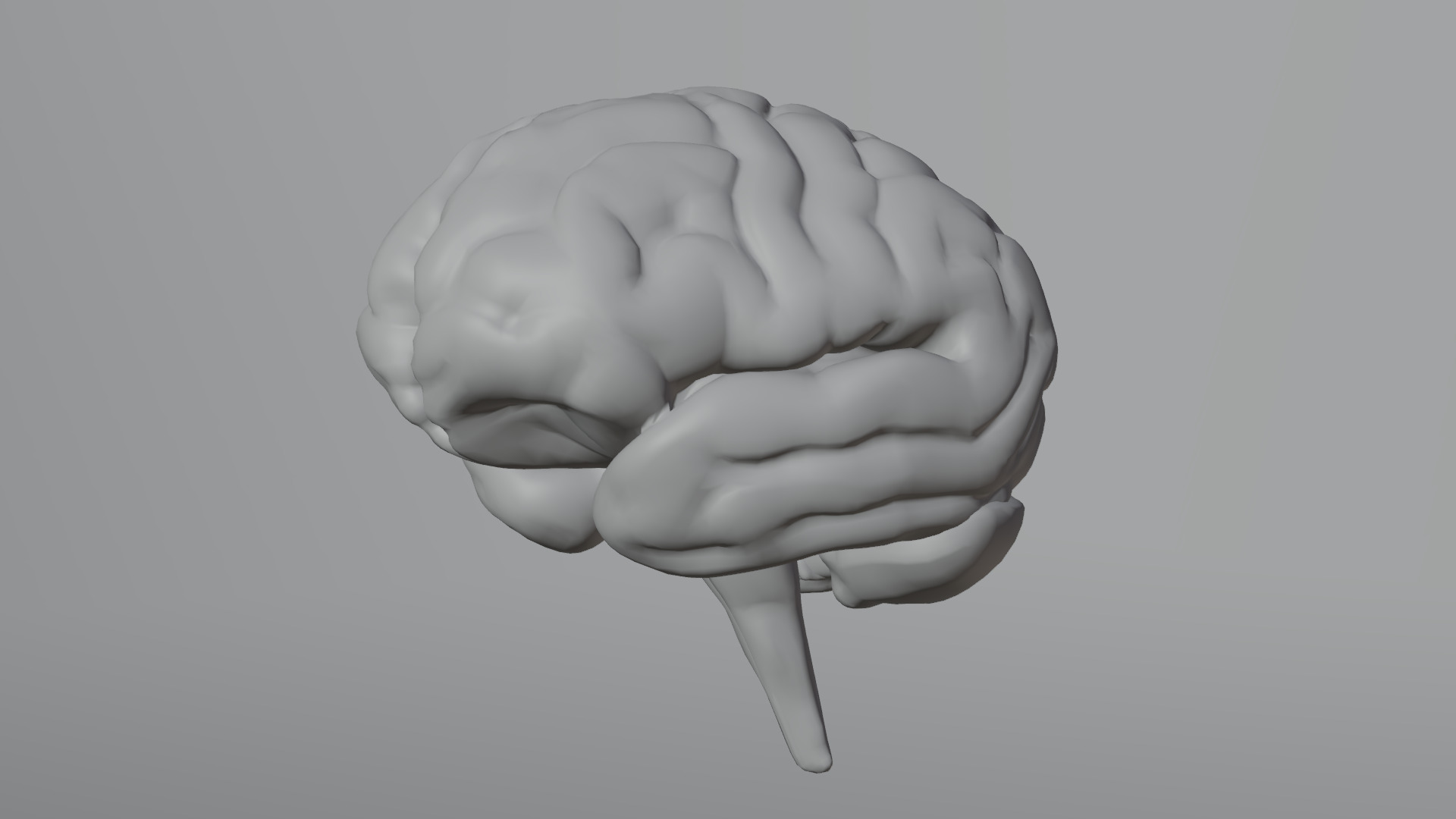 Human Brain Low-poly 3D model_31