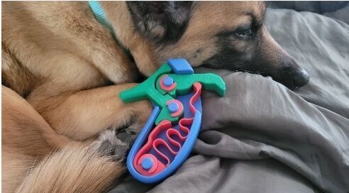 Cock and Pull Fidget  3D print model_5