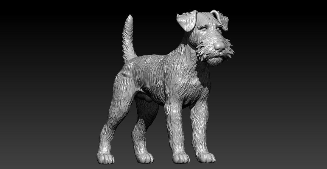 Airedale Terrier Dog model - 3D print 3D print model_2