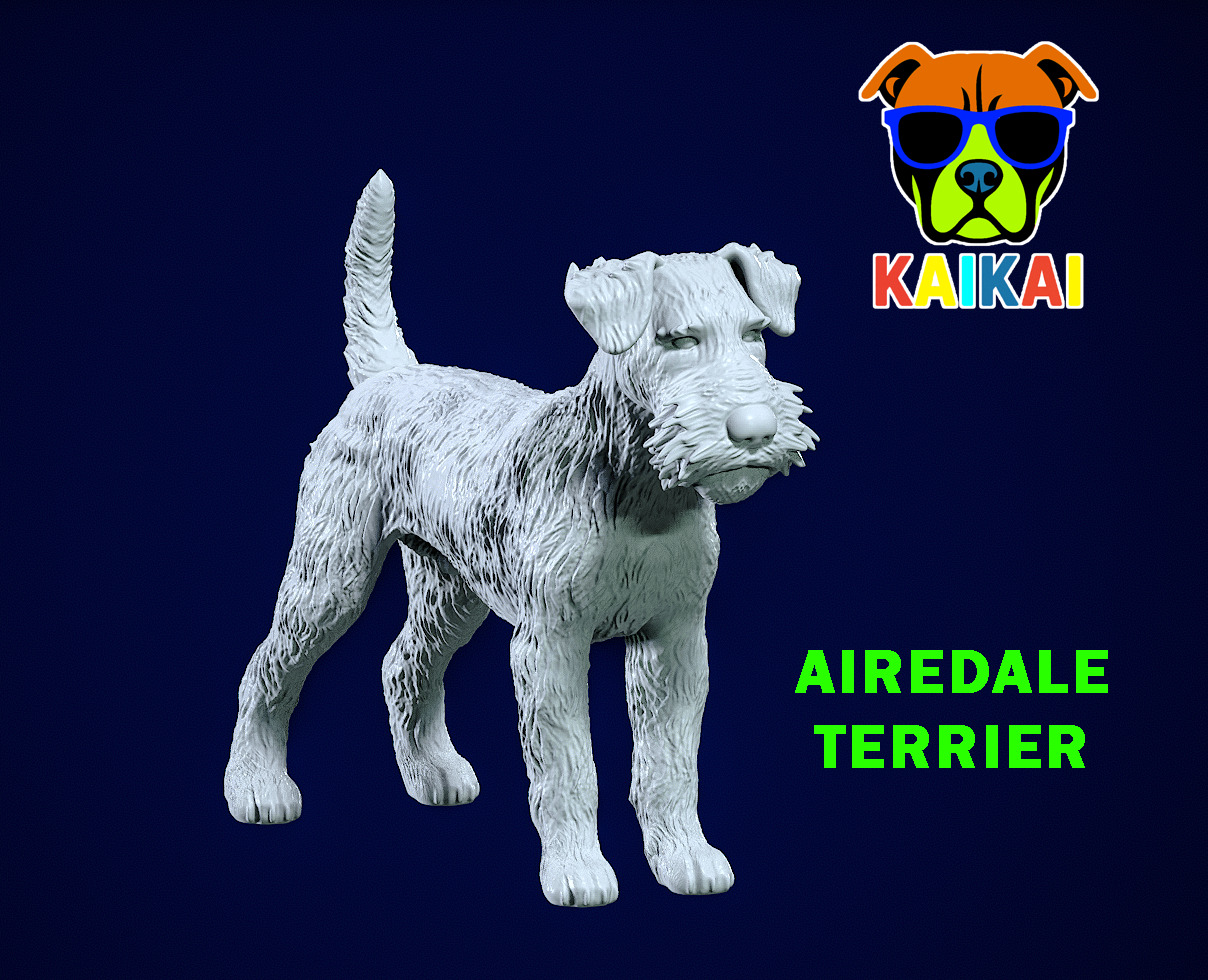 Airedale Terrier Dog model - 3D print 3D print model_1