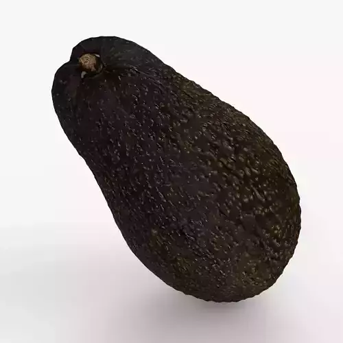 Photorealistic 3D Scanned Avocado