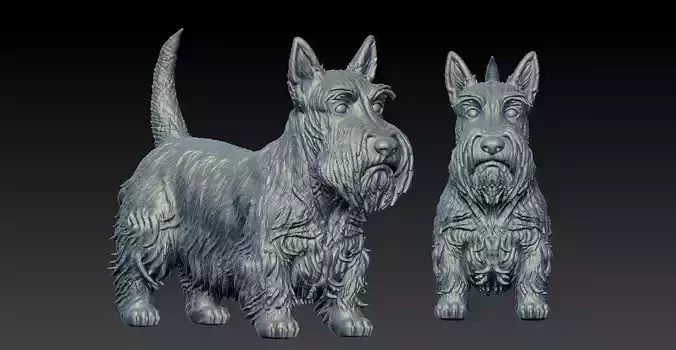 Scottish Terrier Dog model - 3D print