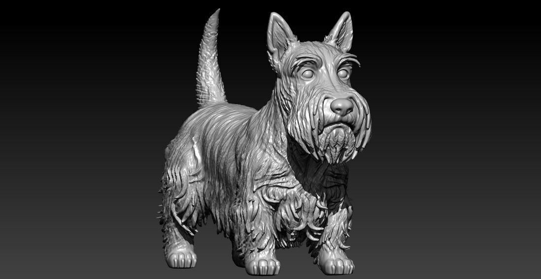 Scottish Terrier Dog model - 3D print 3D print model_1