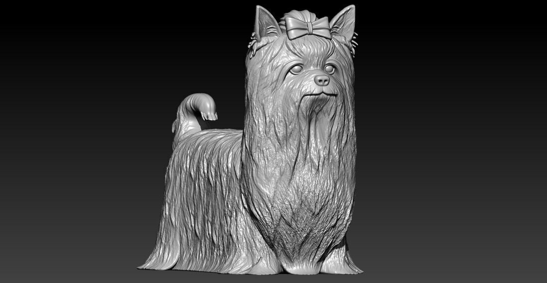 Yorkshire Terrier Dog model - 3D print 3D print model_1