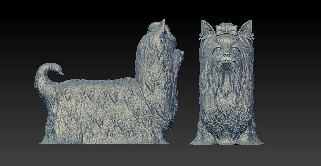 Yorkshire Terrier Dog model - 3D print 3D print model_2