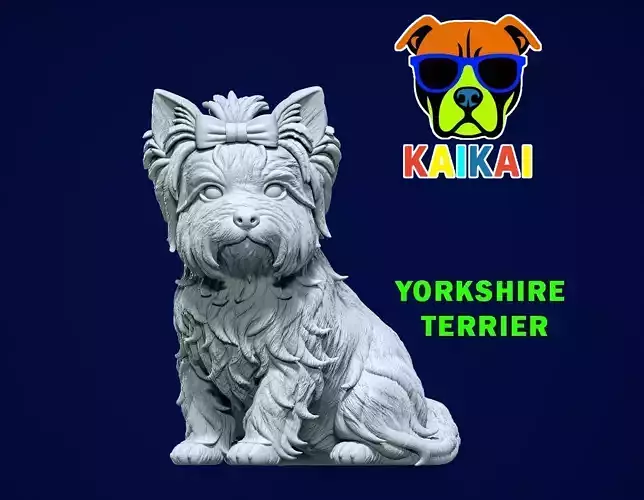 Dog Yorkshire Terrier - Yorkshire model - 3D print 3D print model Dog Yorkshire Terrier - Yorkshire model - 3D print 3D print model