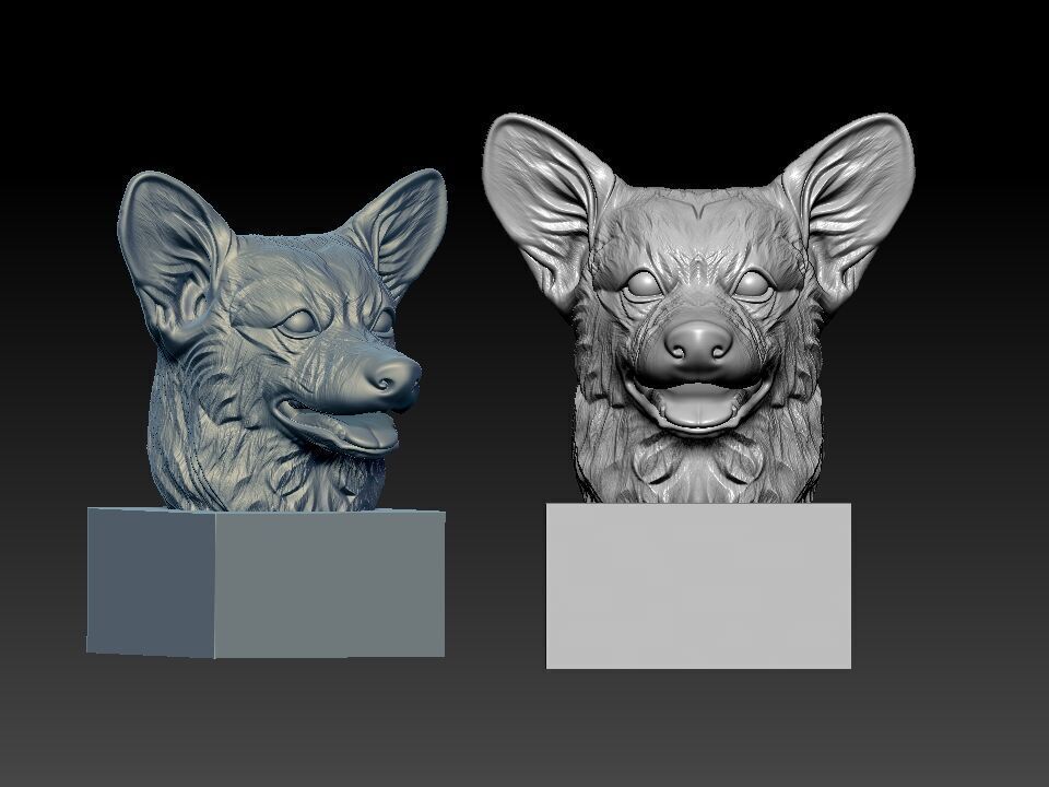 Head References Pembroke Welsh Corgi model - 3D print 3D print model_2