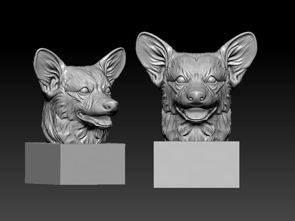 Head References Pembroke Welsh Corgi model - 3D print 3D print model_1