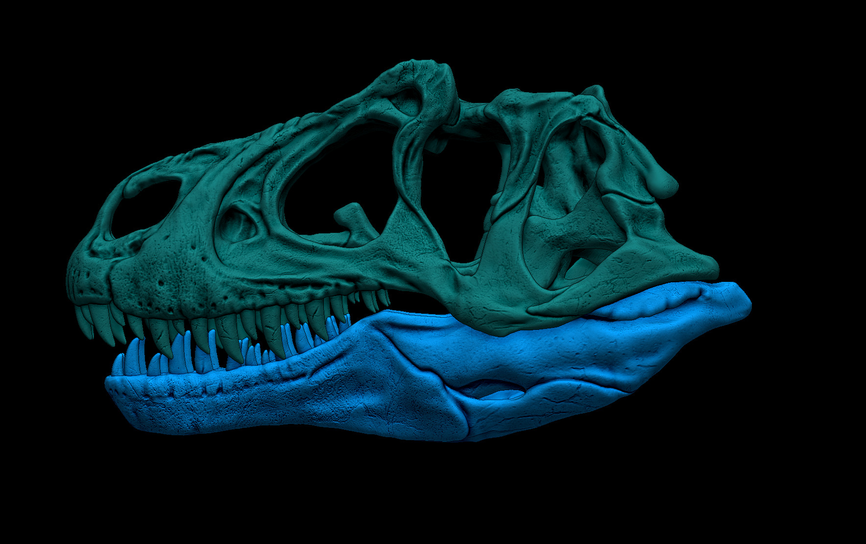 Allosaurus Skull 3D print model_8