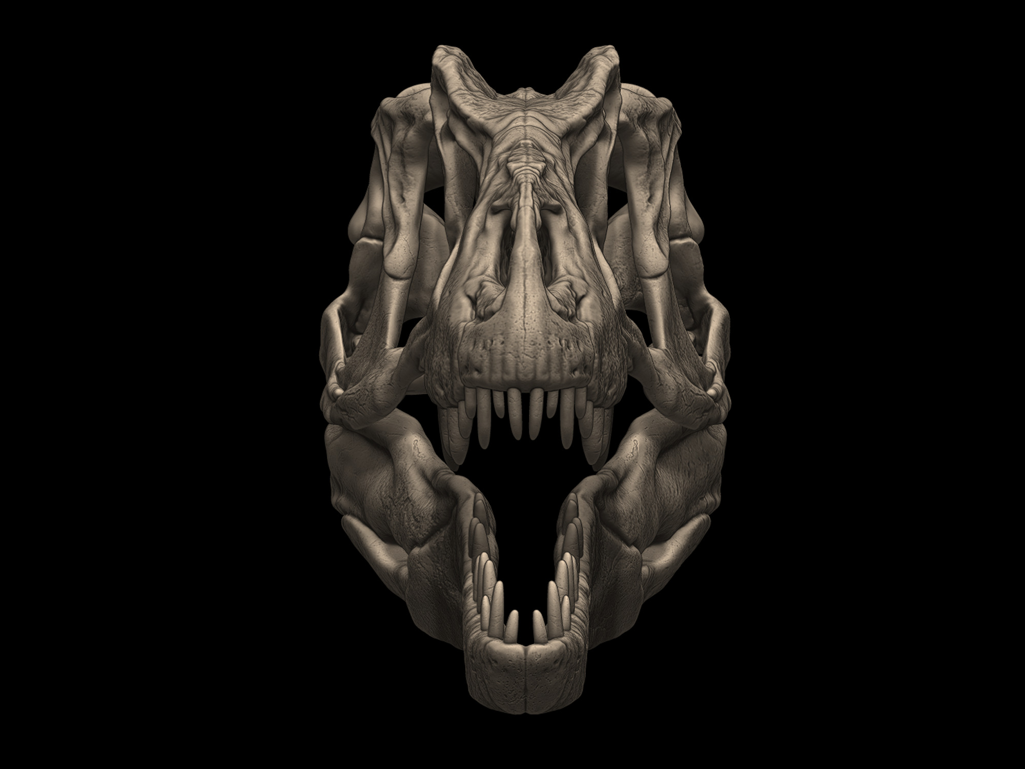 Allosaurus Skull 3D print model_2