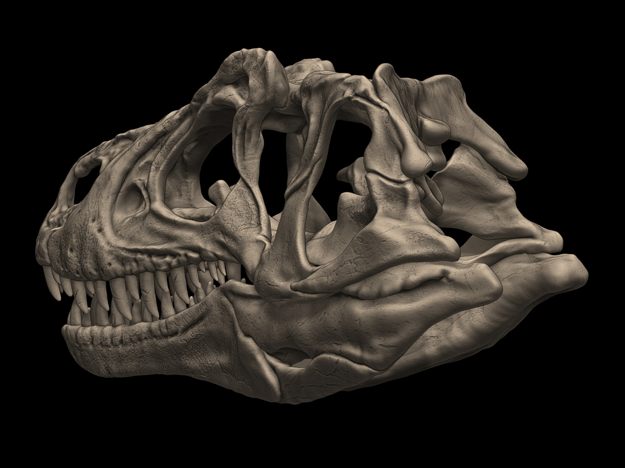 Allosaurus Skull 3D print model_6