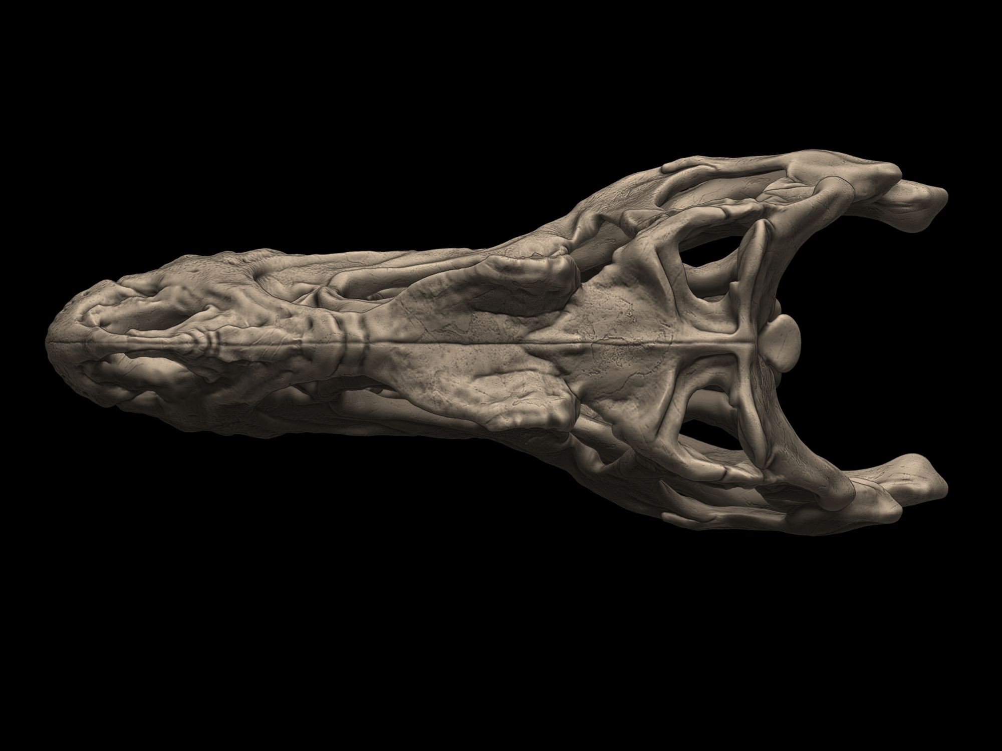 Allosaurus Skull 3D print model_4