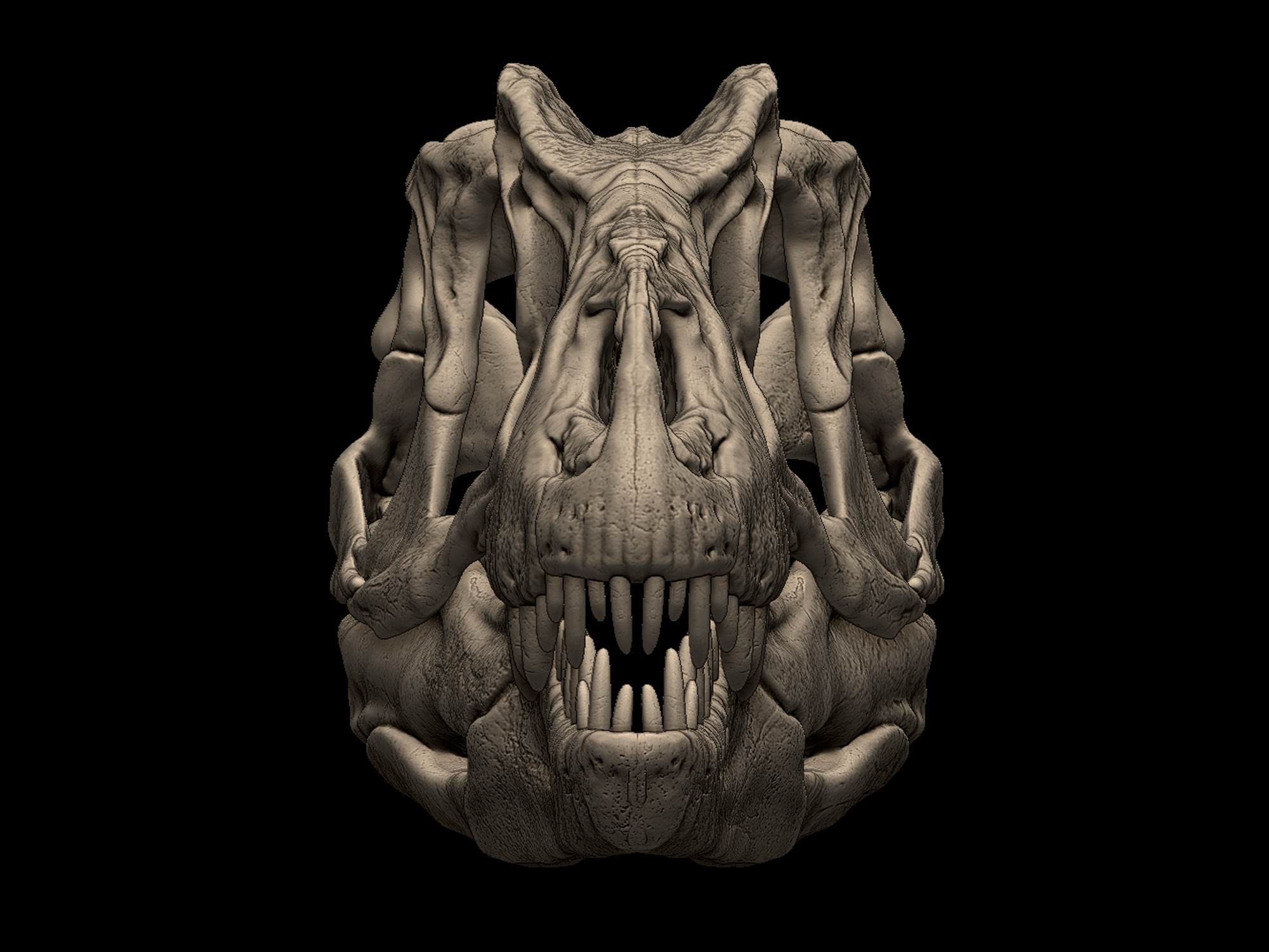 Allosaurus Skull 3D print model_3