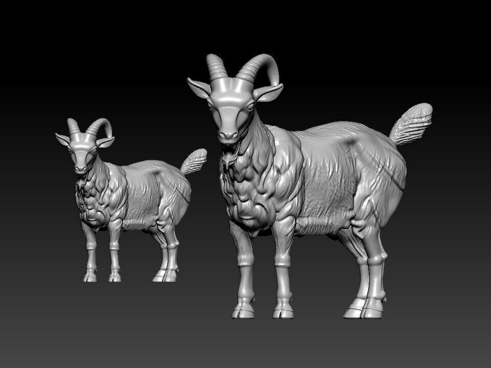 Mountain goat Bovidae model - 3D print 3D print model_2