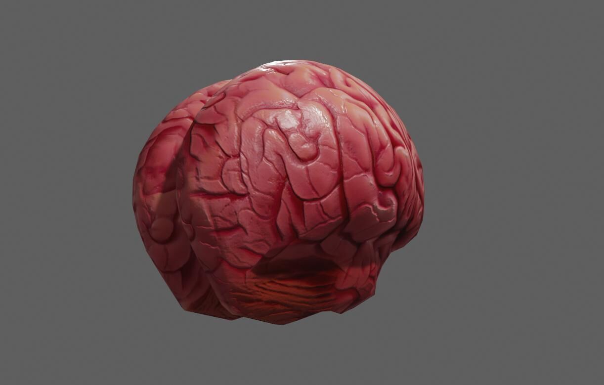 Brain - Cerebro Low-poly 3D model_10