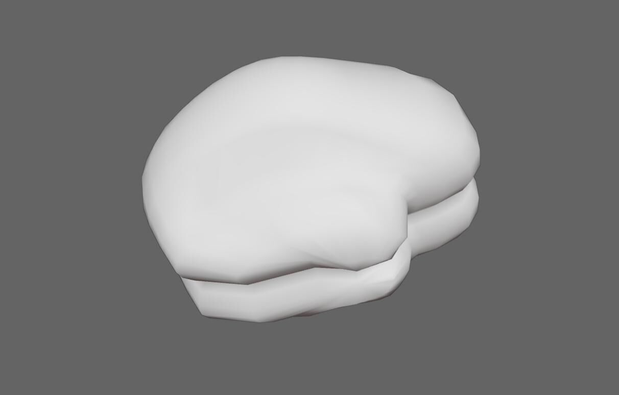 Brain - Cerebro Low-poly 3D model_12
