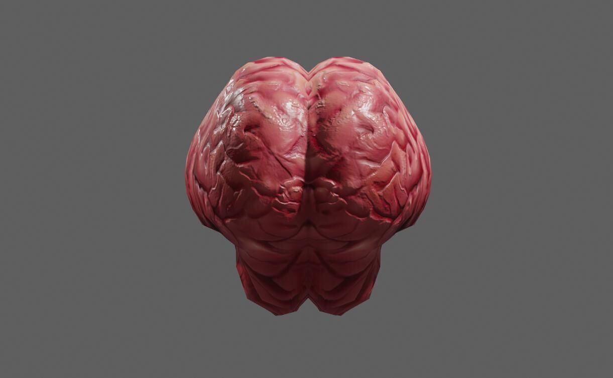 Brain - Cerebro Low-poly 3D model_9