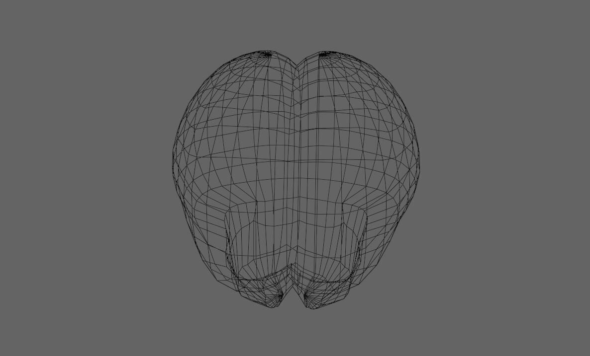 Brain - Cerebro Low-poly 3D model_19