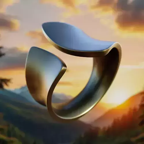 Flow Curve Ring - Minimal Futuristic Jewelry 3D Model 61 3D print model