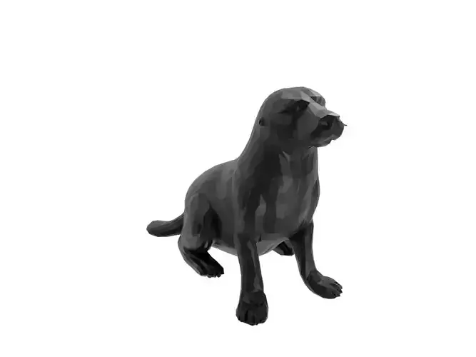 Seal Animal Low Poly