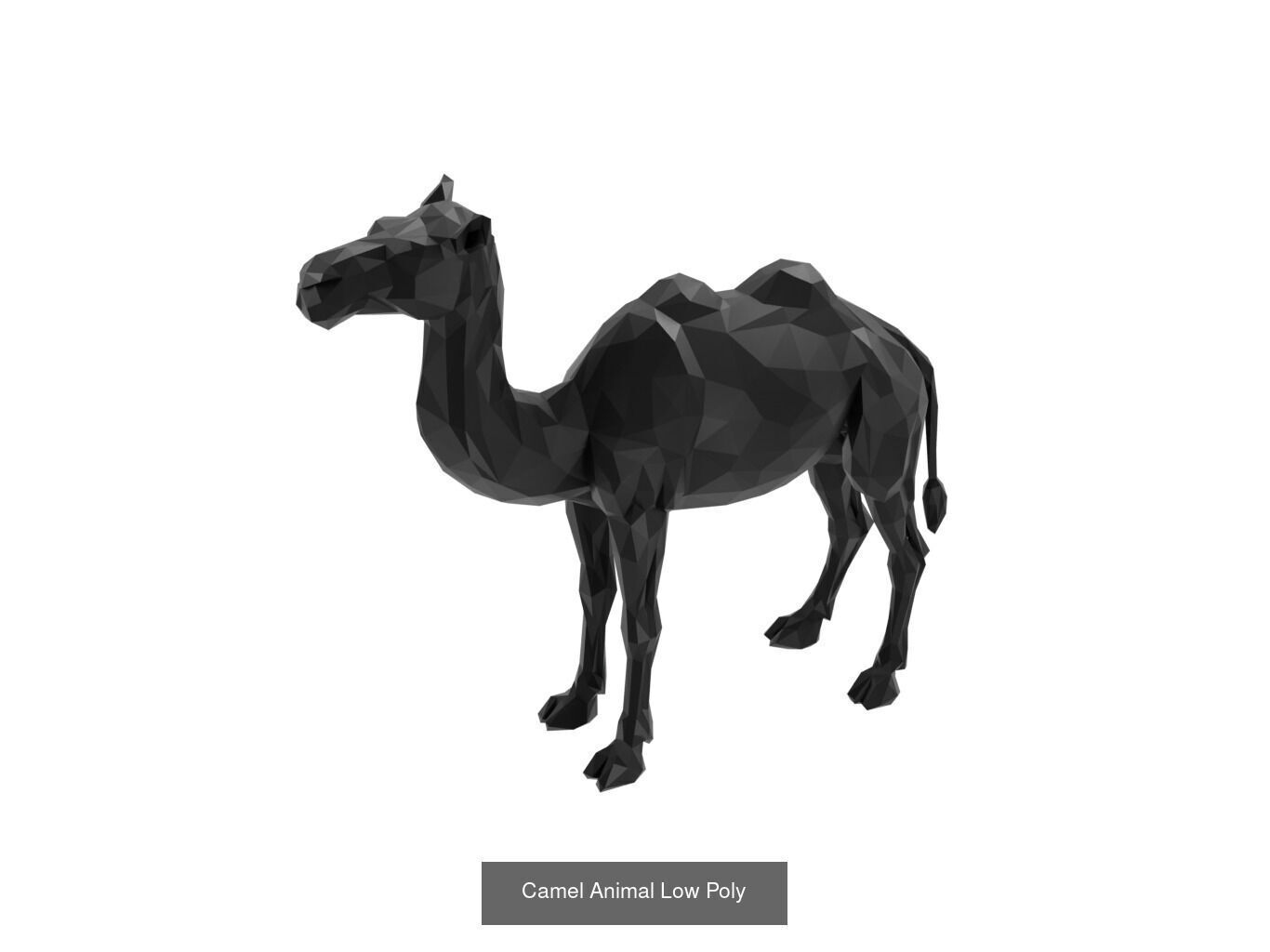 Low Poly Animal Mega Set 99 Models 3D Model Collection_25