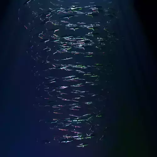 Metal Sardines tornado 3D model
