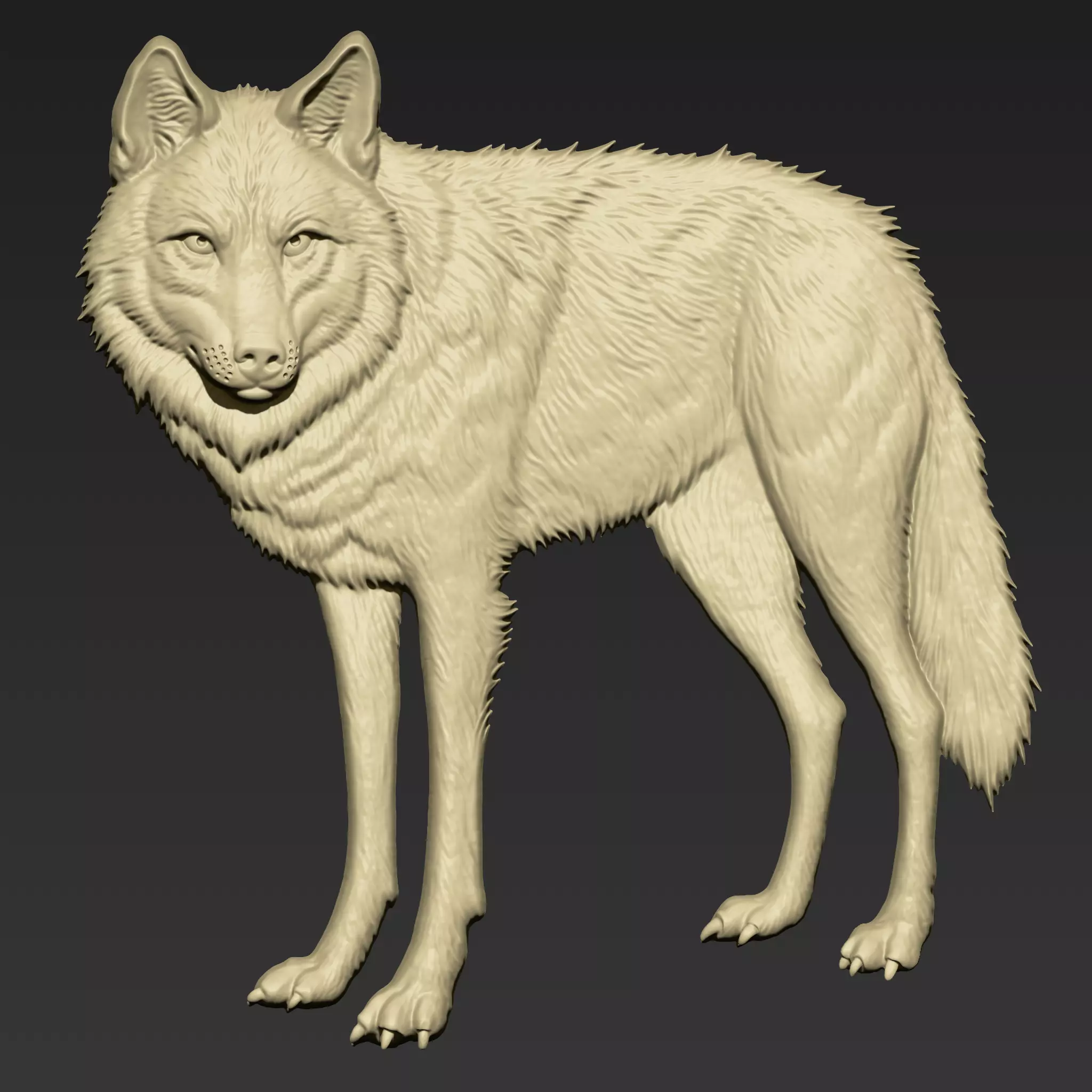 Wolf A107 3D print model