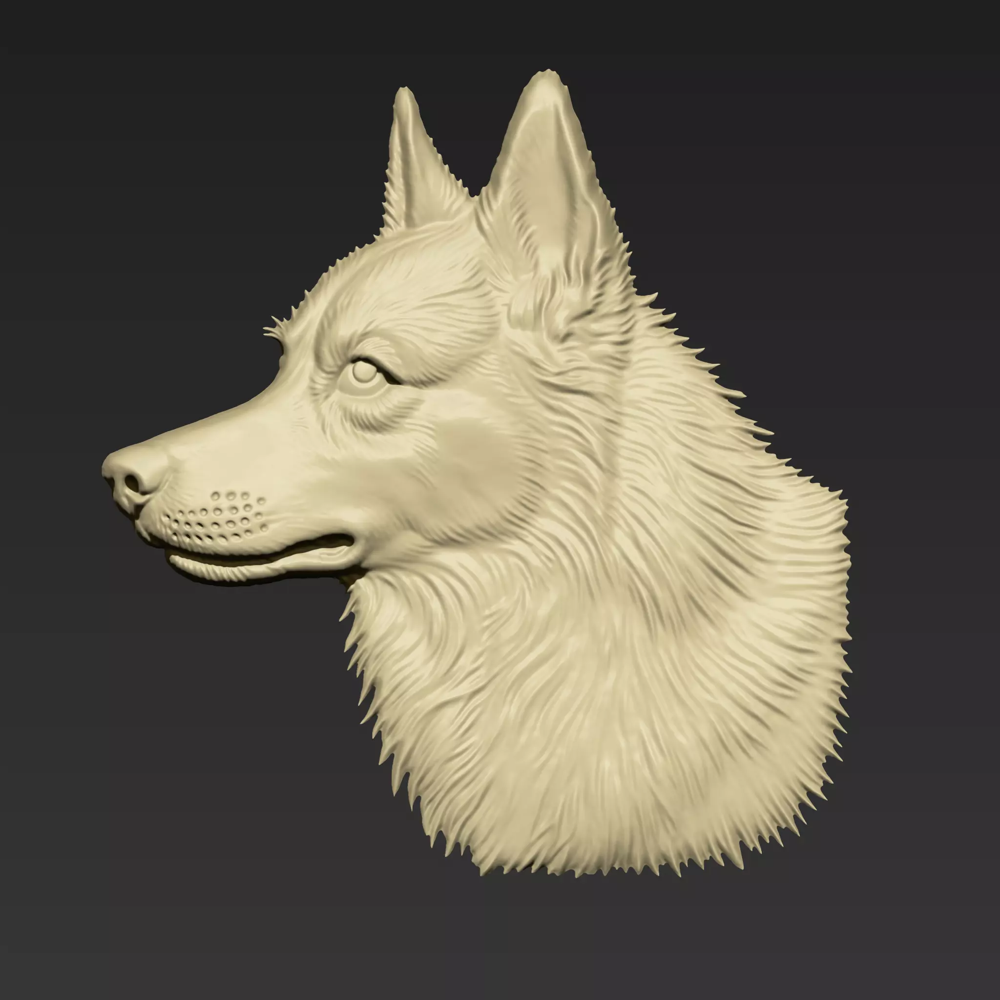 Wolf Head A113 3D print model