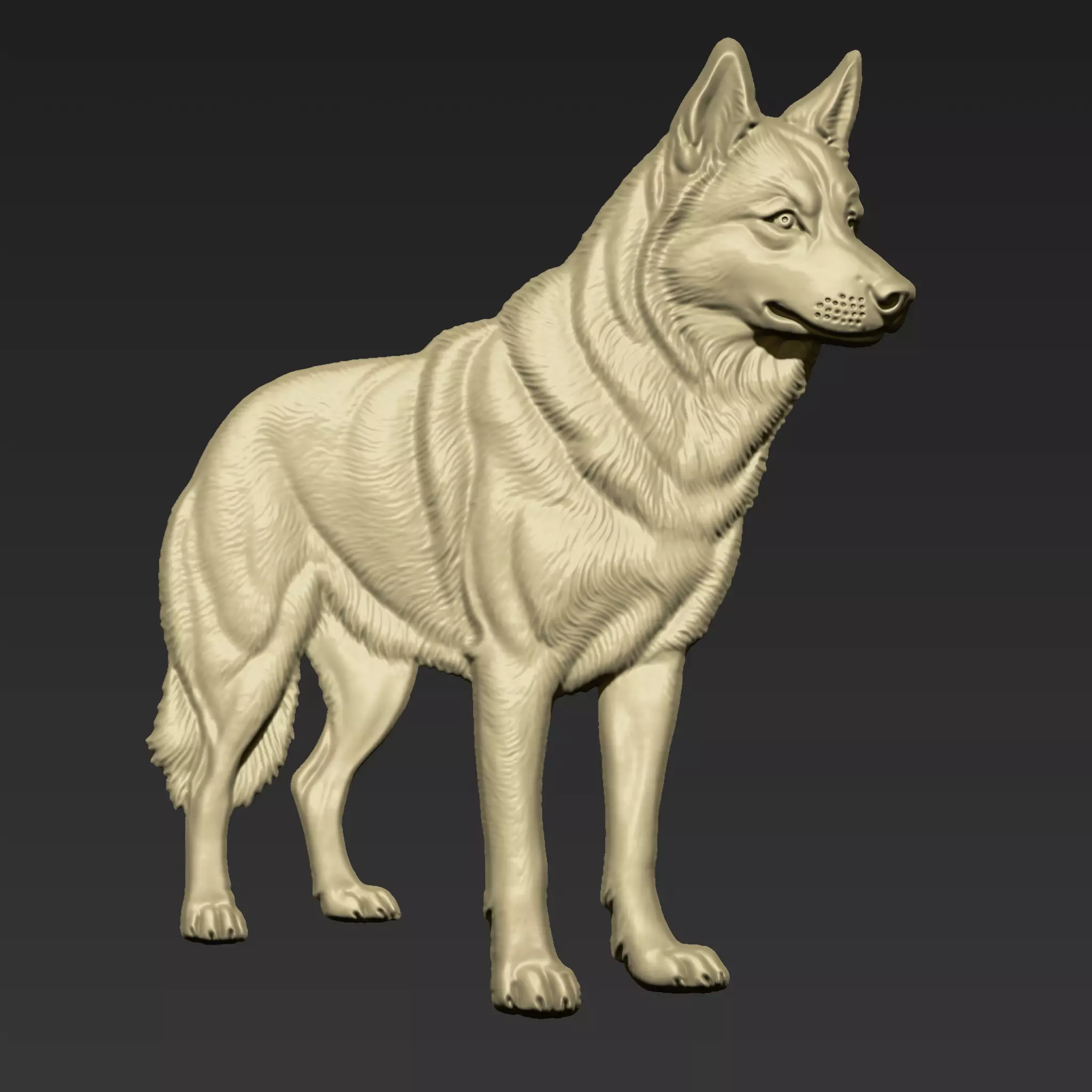 Wolf A114 3D print model