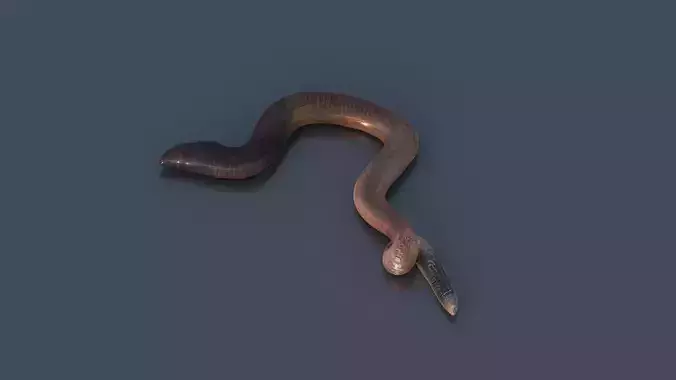 Earthworm